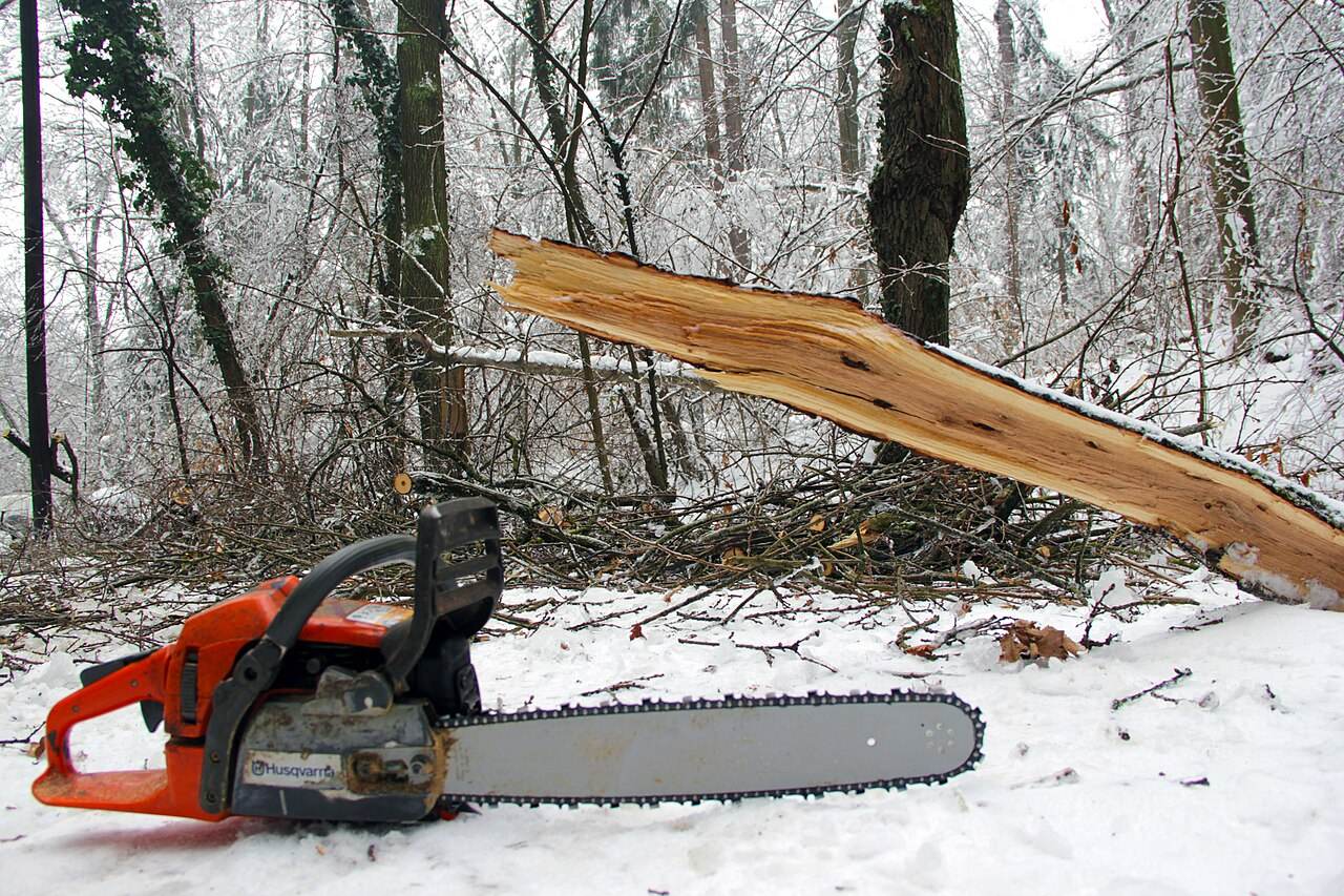 Motorsäge im verschneiten Wald neben einem gefällten Stamm