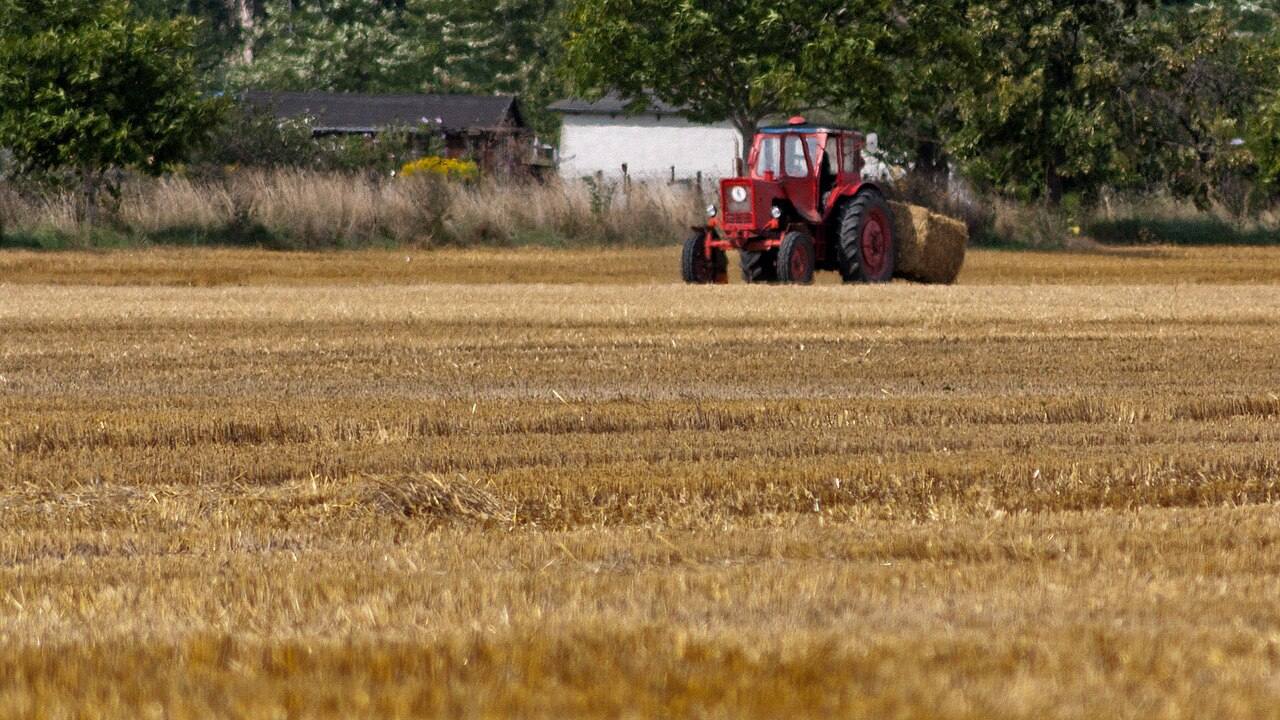 Traktor bei der Ernte auf einem Stoppelfeld