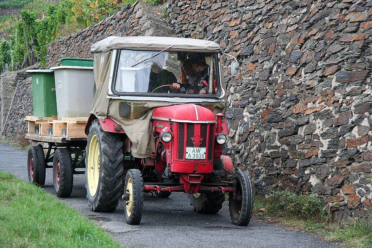 Traktor mit Anhänger vor einer Weinbergsmauer