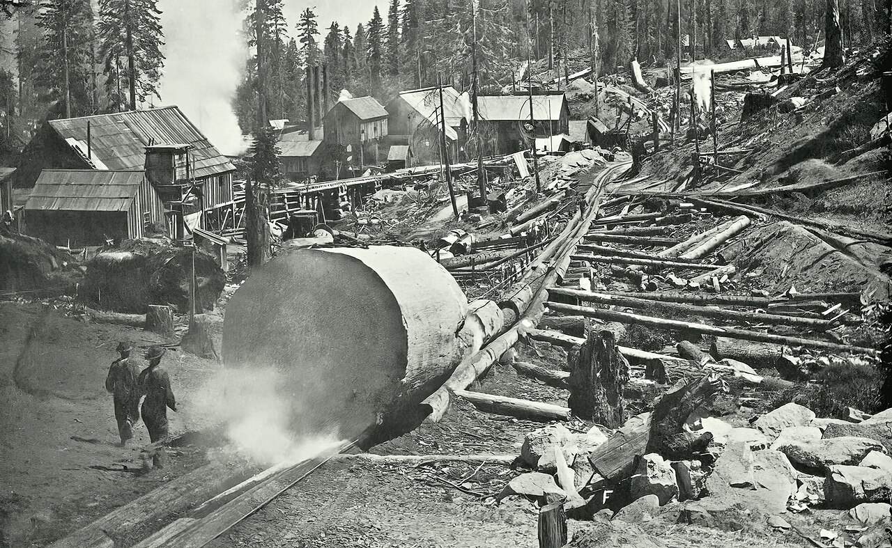 Historische Holzfällerarbeiten mit Baumstämmen