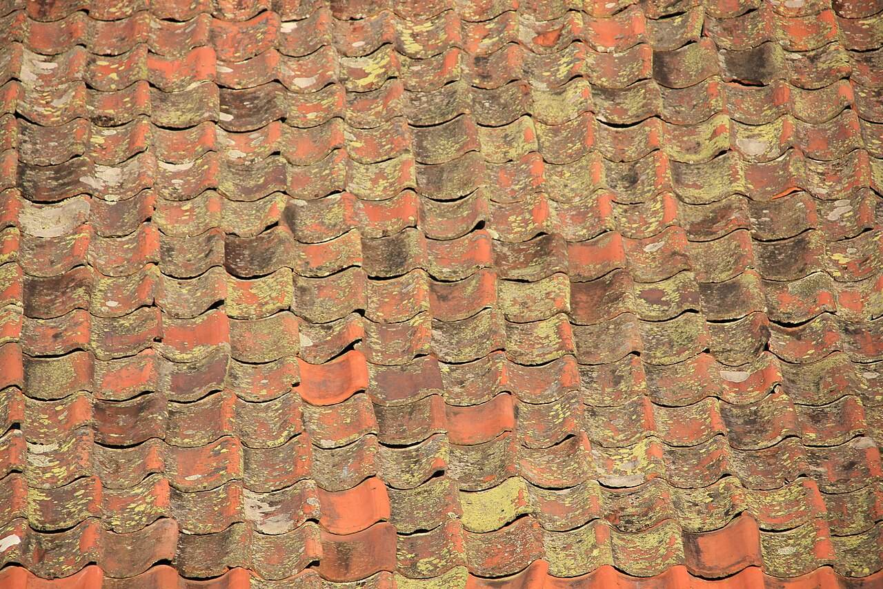 Alte Dachziegel mit Flechtenbewuchs