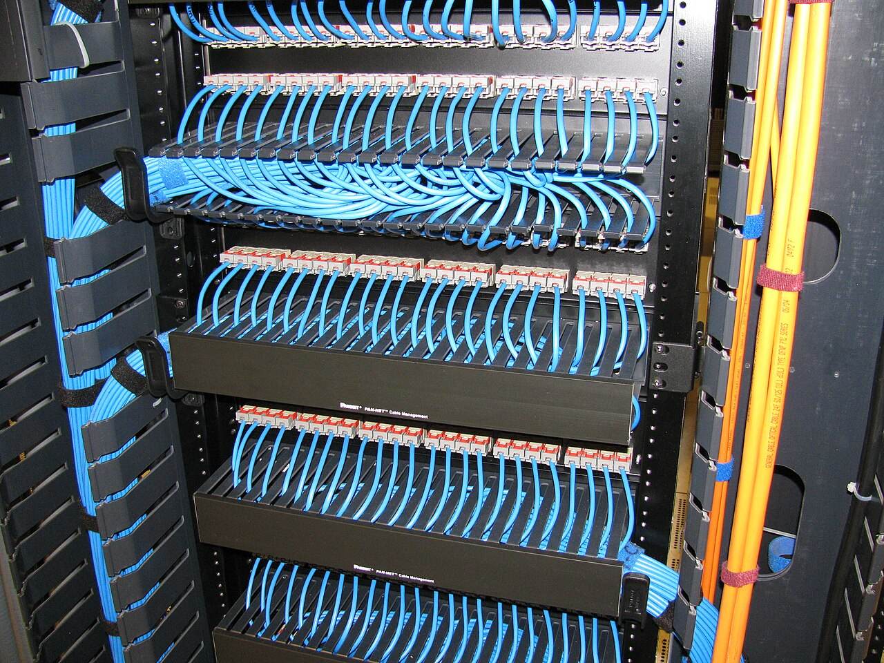 Netzwerk-Patchfeld mit blauen Kabeln
