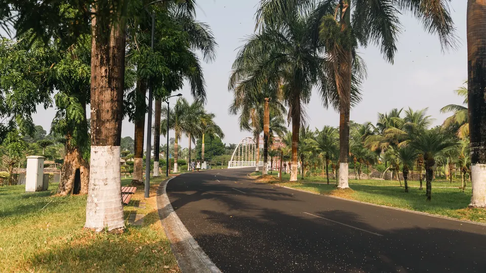 Von Palmen gesäumte Straße in einem Park in Malabo, Äquatorialguinea