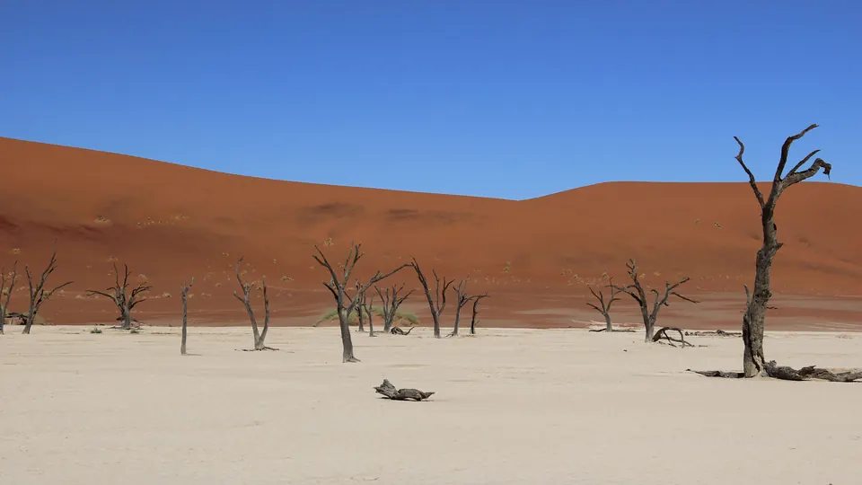 Rote Dünen und abgestorbene Bäume im Sossusvlei in Namibia