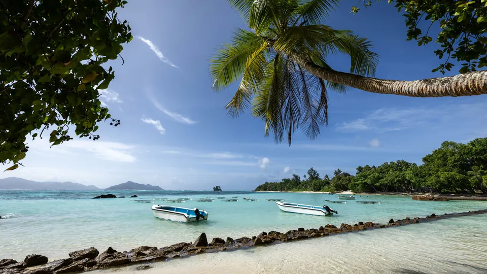 Strand mit Booten und Palmen auf den Seychellen