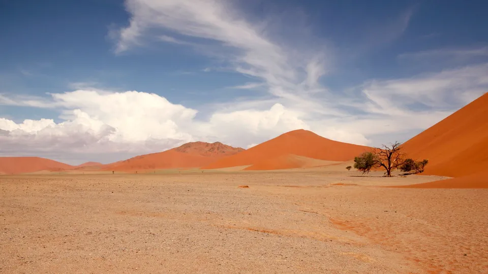 Rote Sanddünen und ein einzelner Baum in der Namib-Wüste, Namibia.